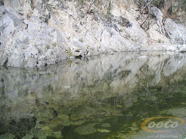 PICT0057