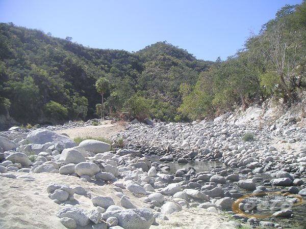 PICT0058